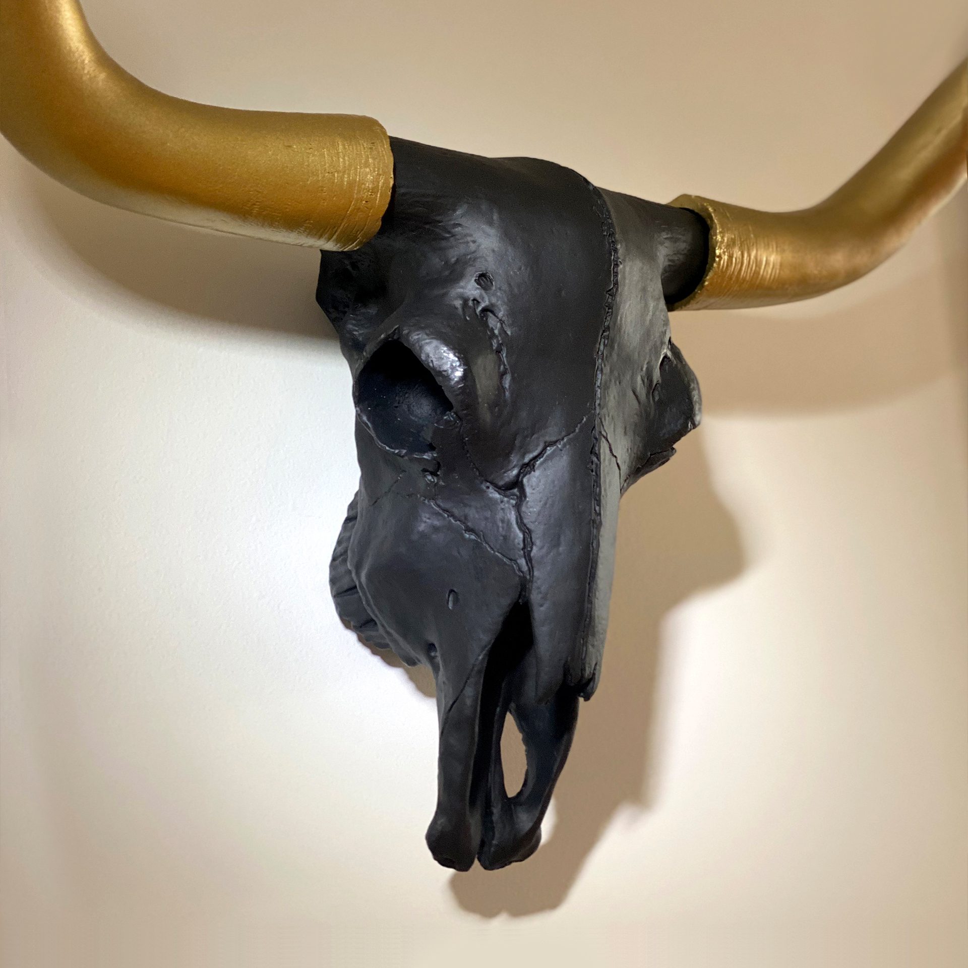 An Agency's bull skull
